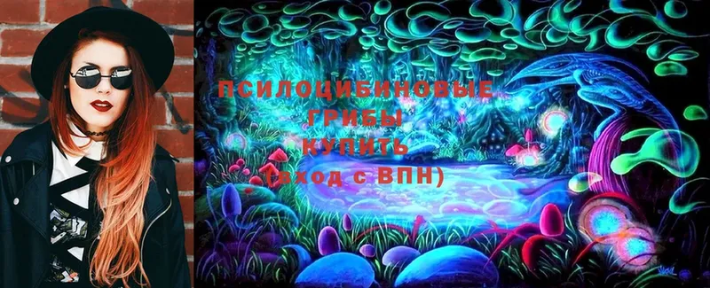 Галлюциногенные грибы MAGIC MUSHROOMS  Светлоград 